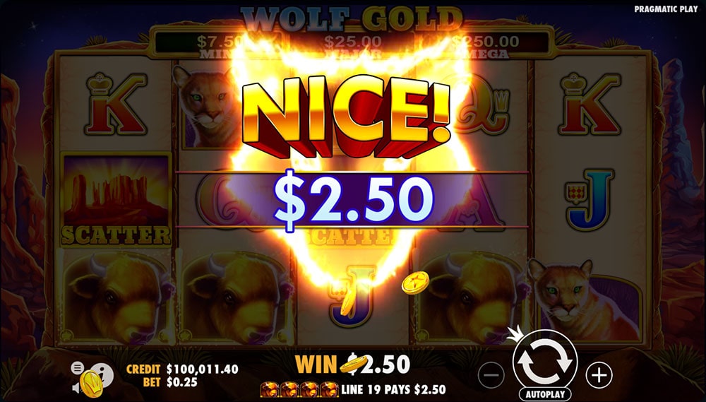 Выигрыш в игровом автомате Wolf Gold.